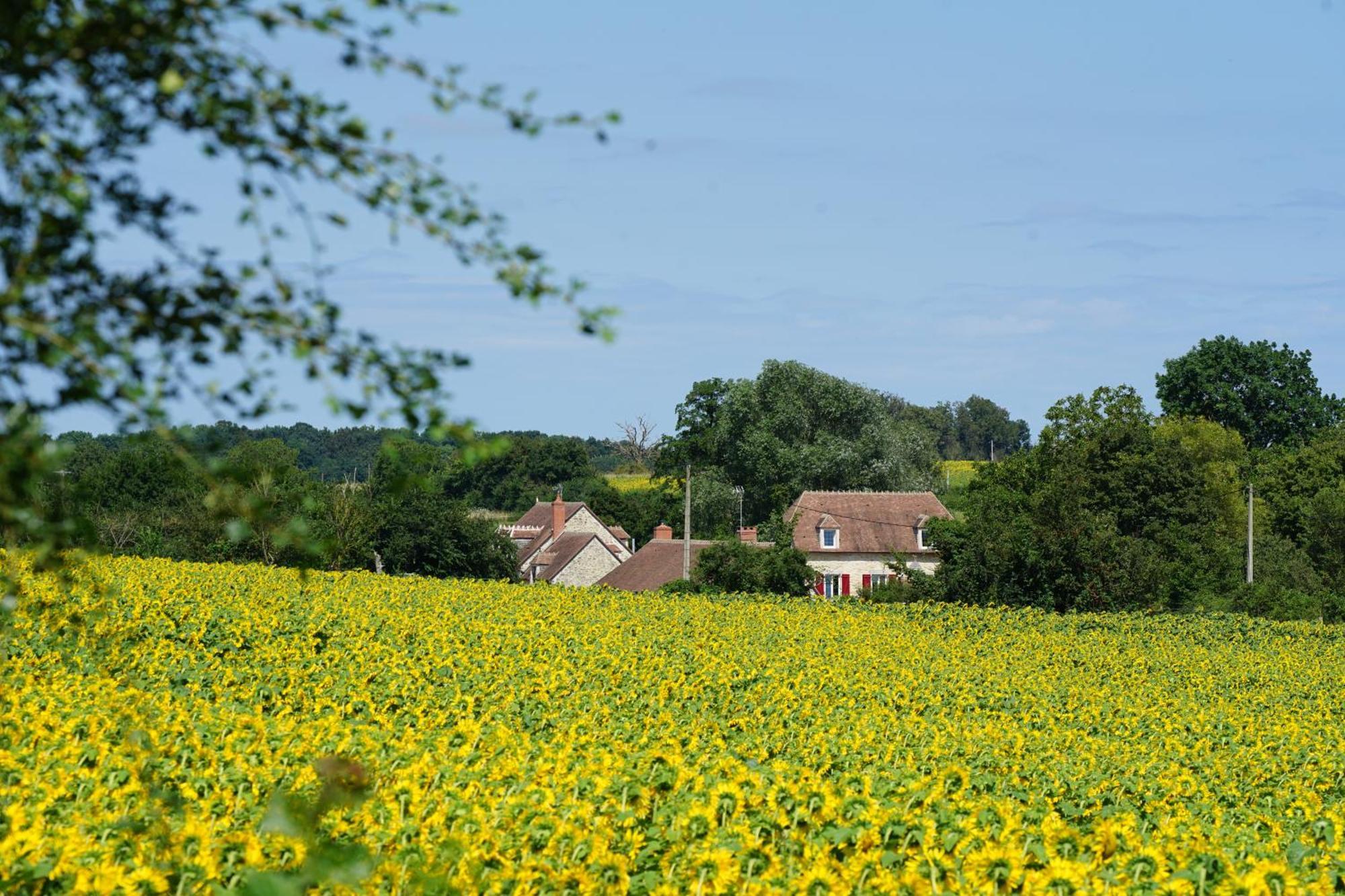 Charenton-du-Cher Moulin De Petoulle酒店 外观 照片